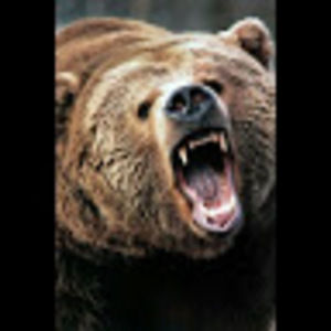 Meet your Posher, Larry